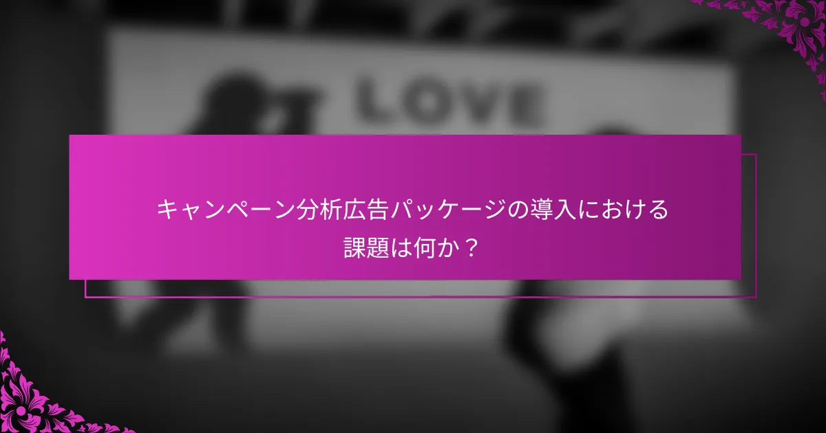 キャンペーン分析広告パッケージの導入における課題は何か?