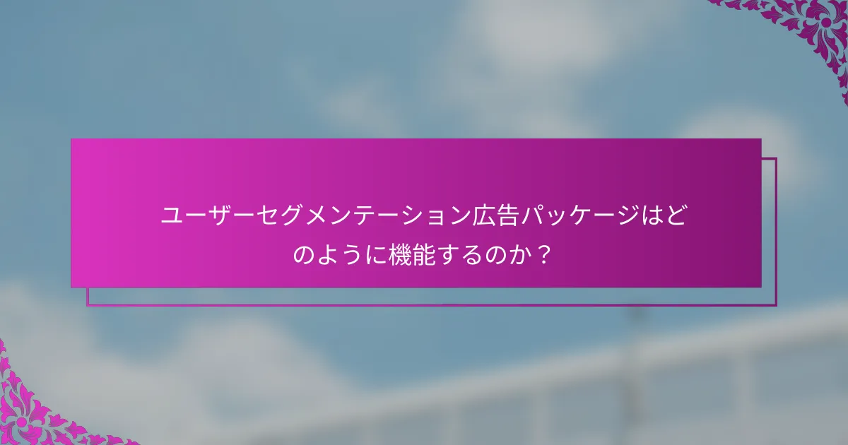 ユーザーセグメンテーション広告パッケージはどのように機能するのか？